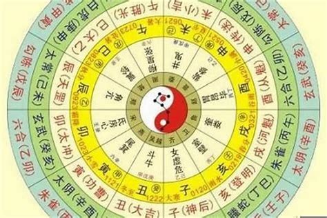 辛酉大運|行雲閣：八字命理——辛酉日柱人的命運解析